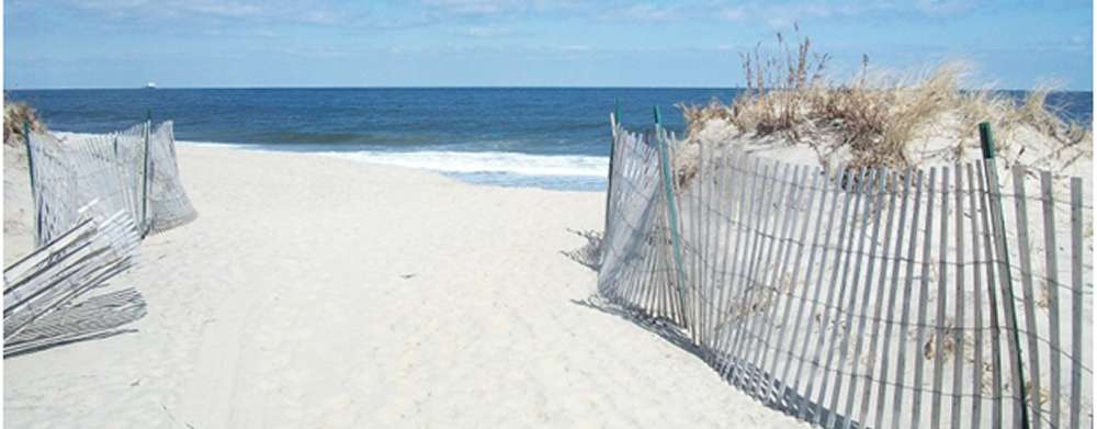 You May Spot Some Stingrays Along New Jersey Beaches This Summer